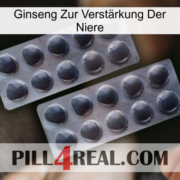 Ginseng Zur Verstärkung Der Niere 31